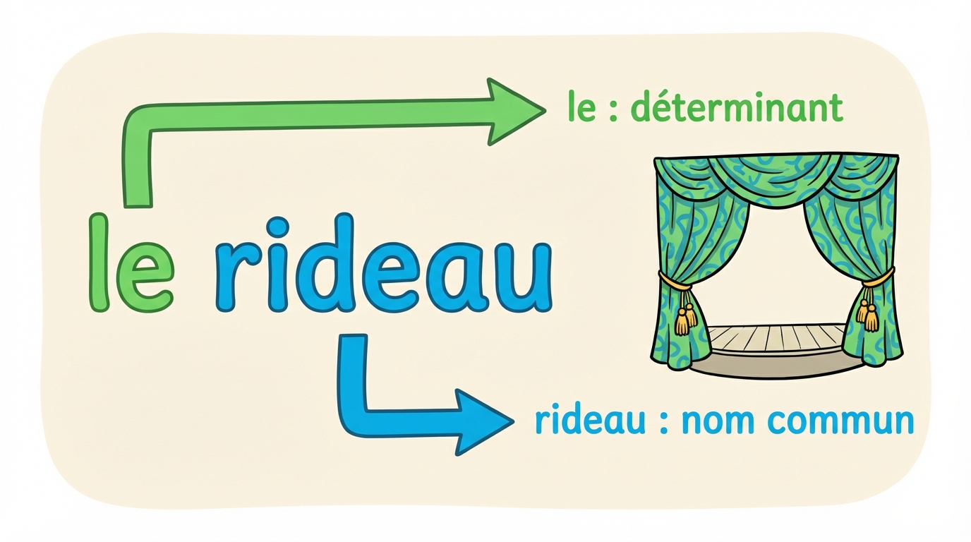 le rideau = le (déterminant) + rideau (nom commun)